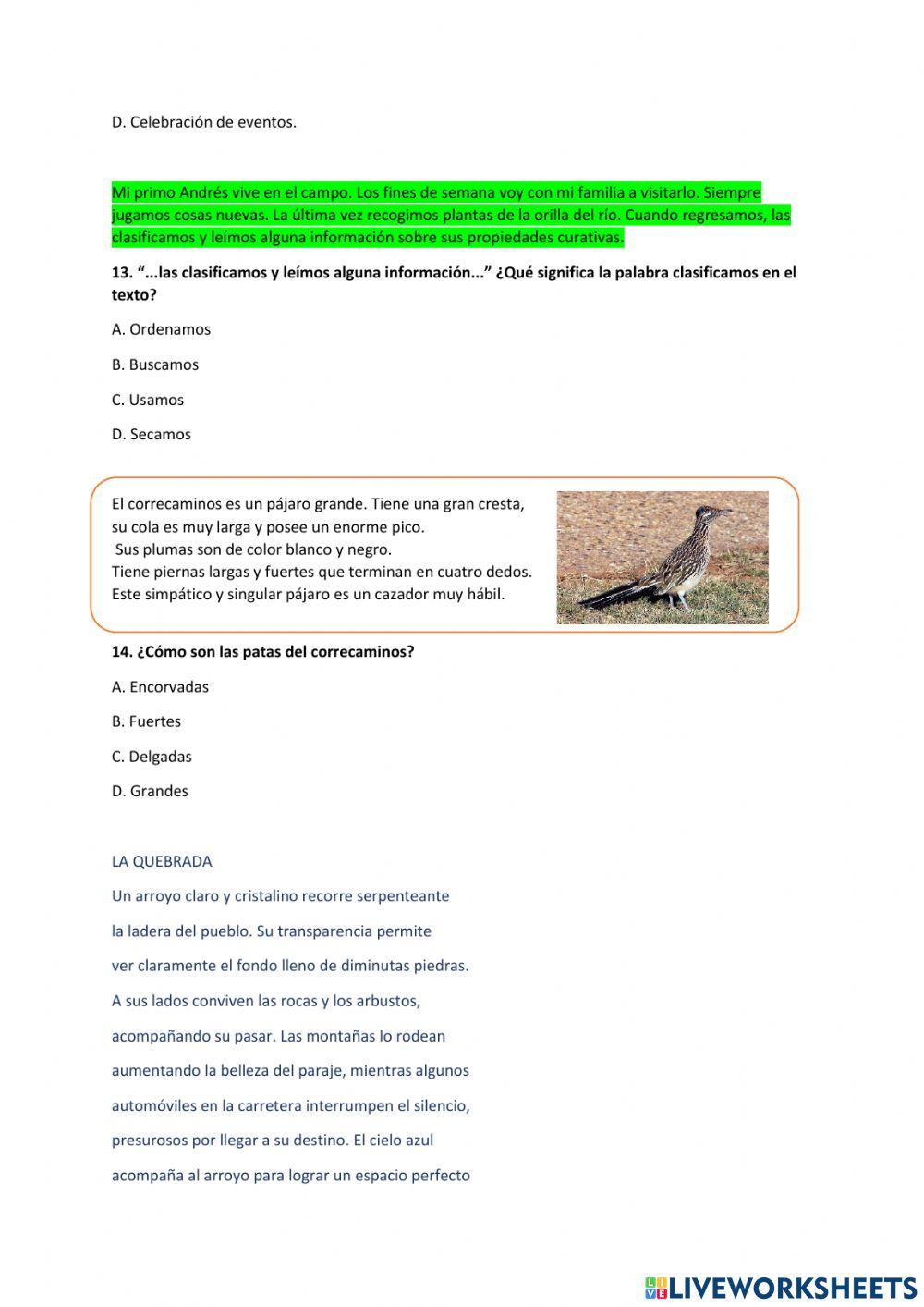 Prueba diagnóstica Español 5to