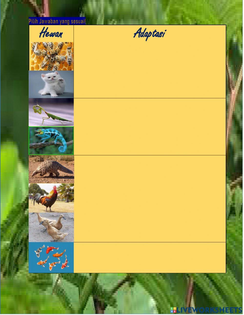 LKPD Tema 2 Sub Tema 2