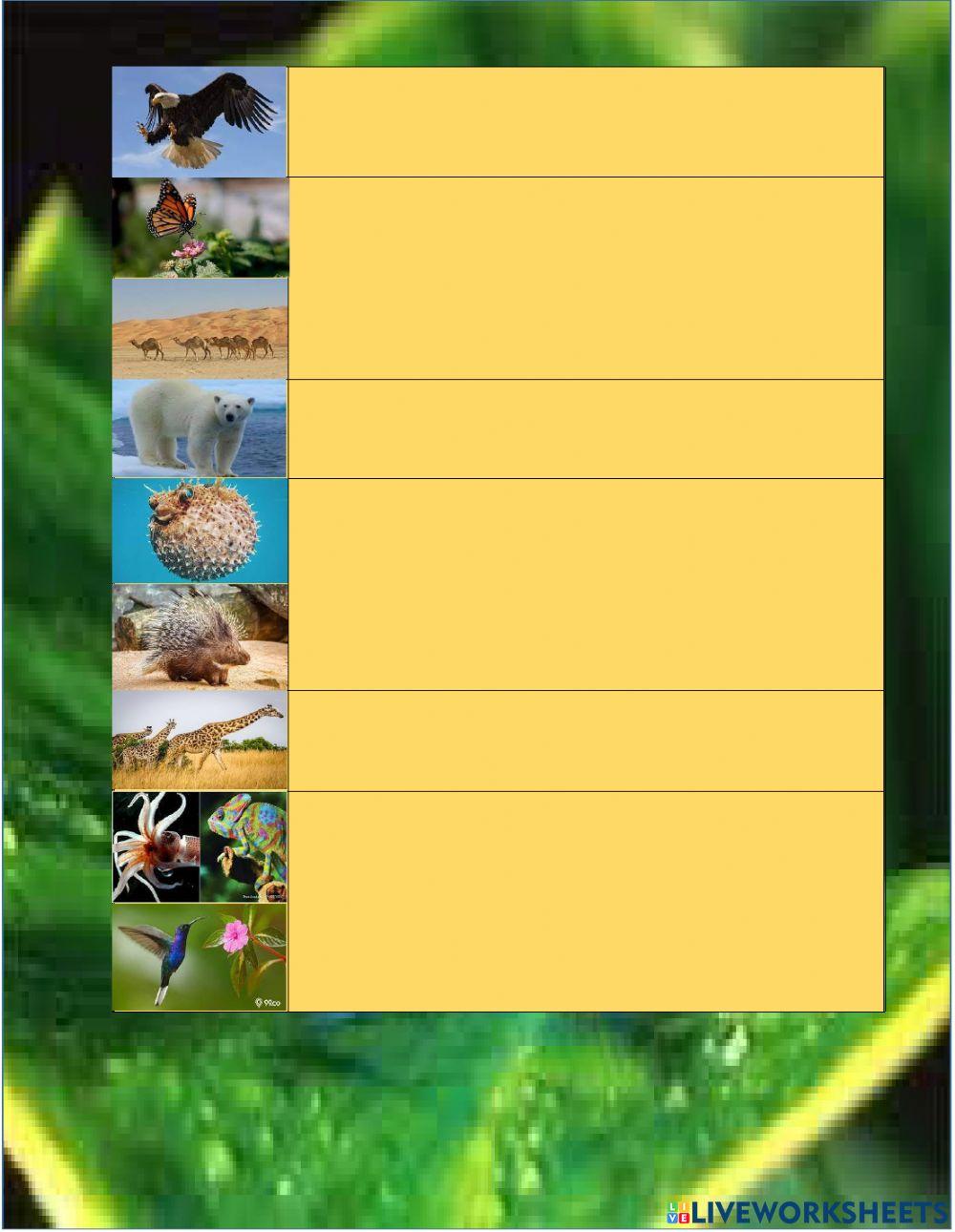 LKPD Tema 2 Sub Tema 2