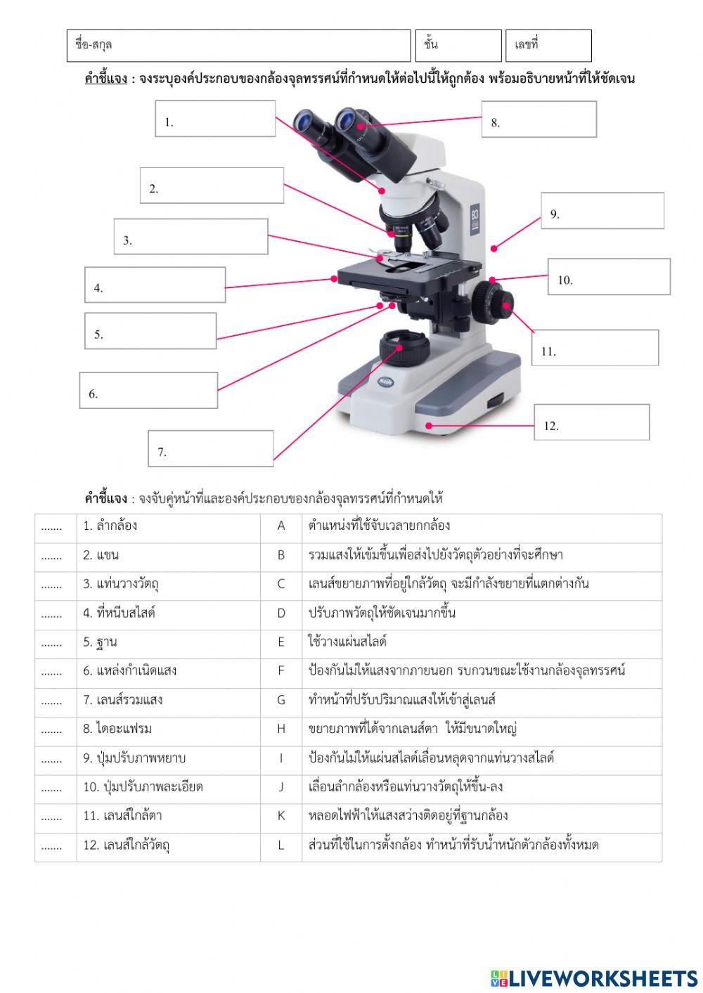 ส่วนประกอบของกล้องจุลทรรศน์1