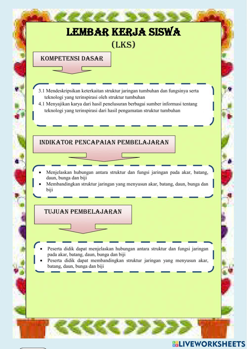 Struktur dan Jaringan Daun dan Bunga