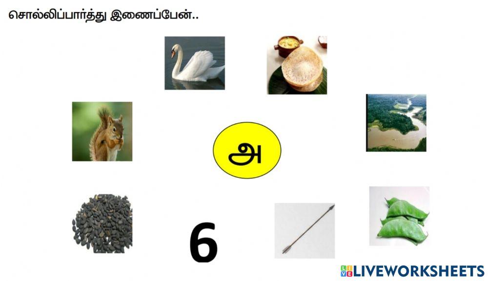 அ  பயிற்சிதாள்