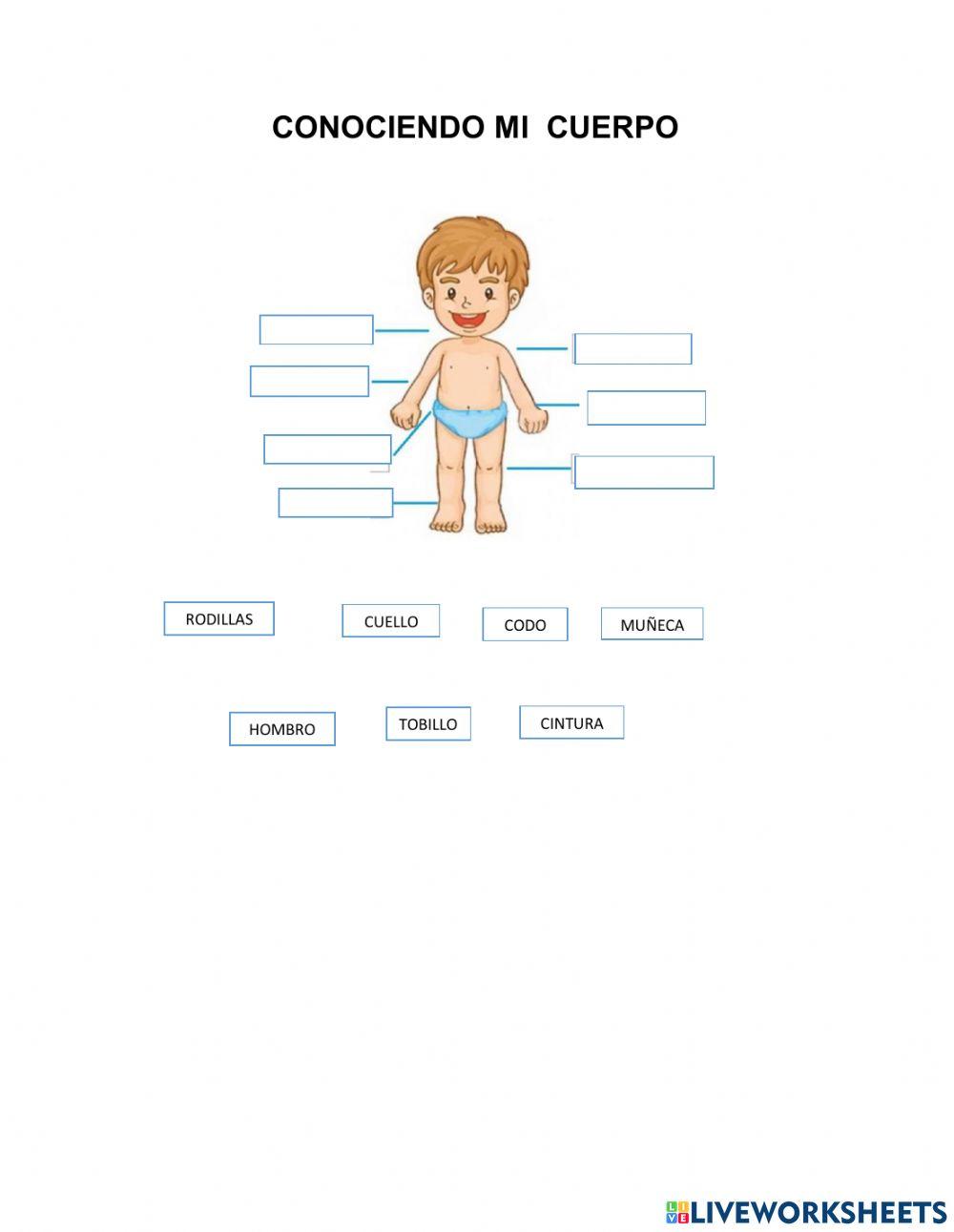 Conociendo mi cuerpo.