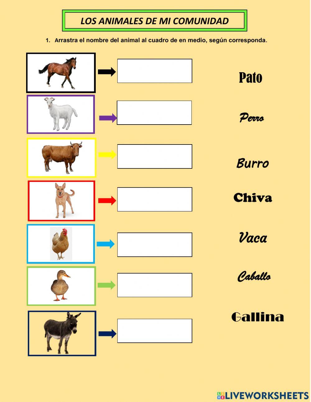 Los animales de mi comunidad