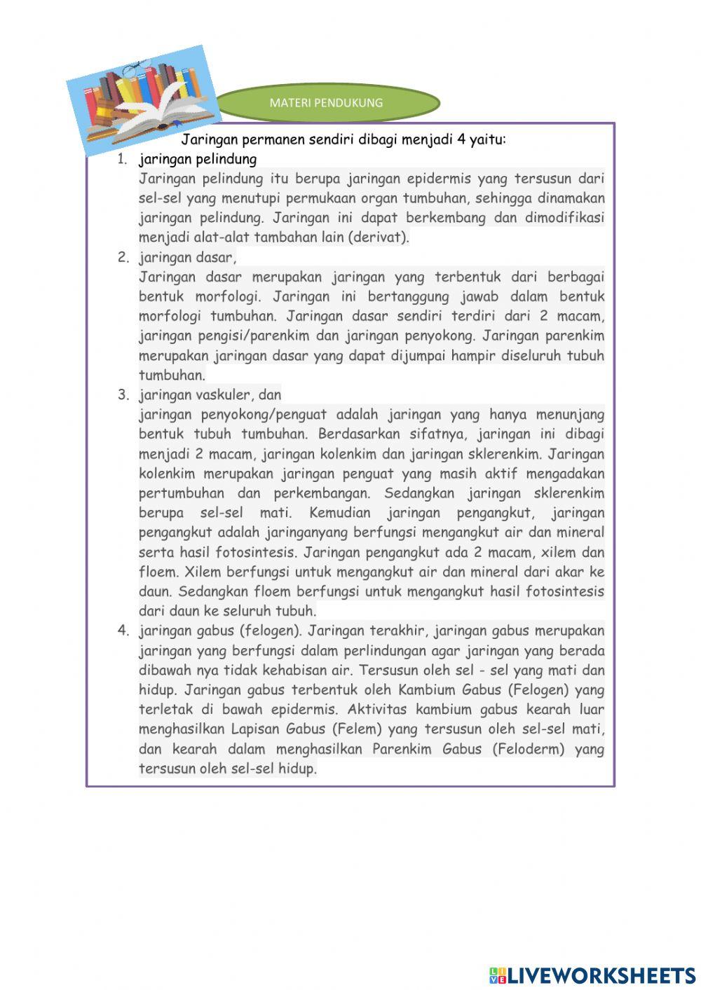 LKPD Jaringan permanen