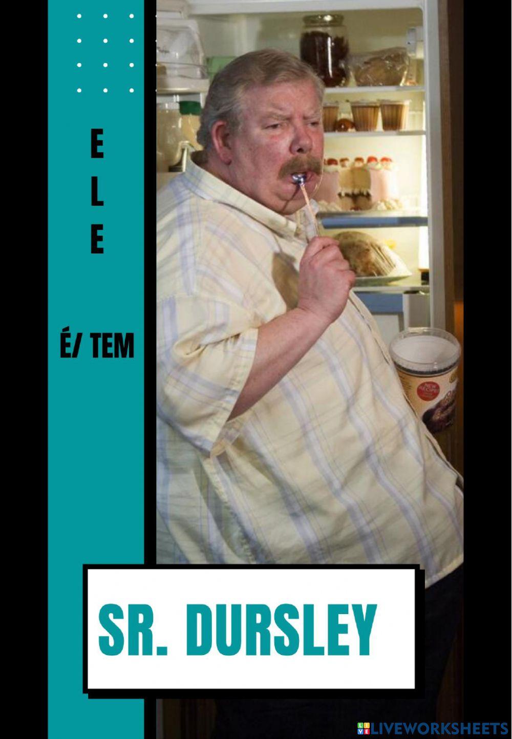 Caracterizando os Dursley