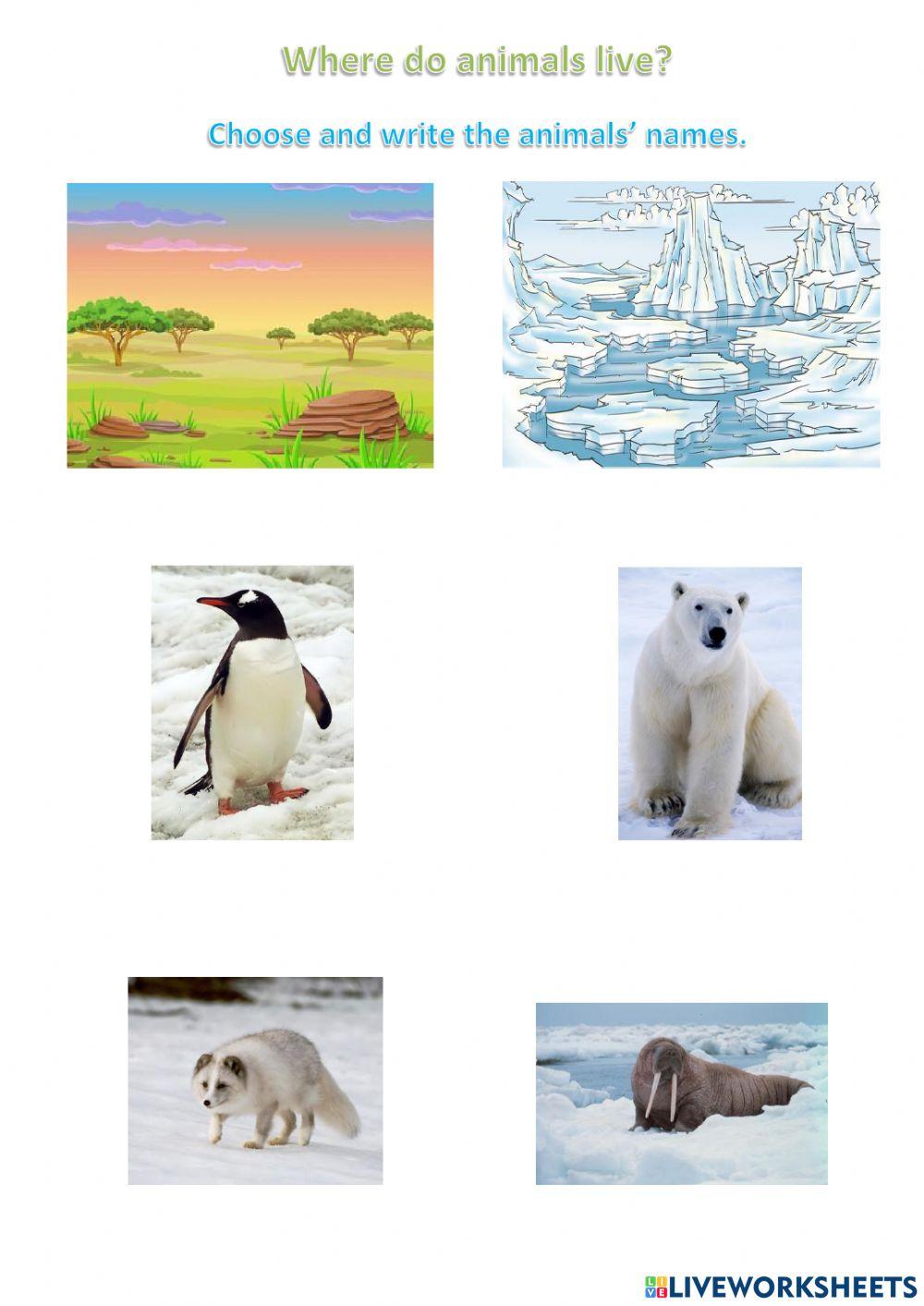 Animal habitats Animal habitats
