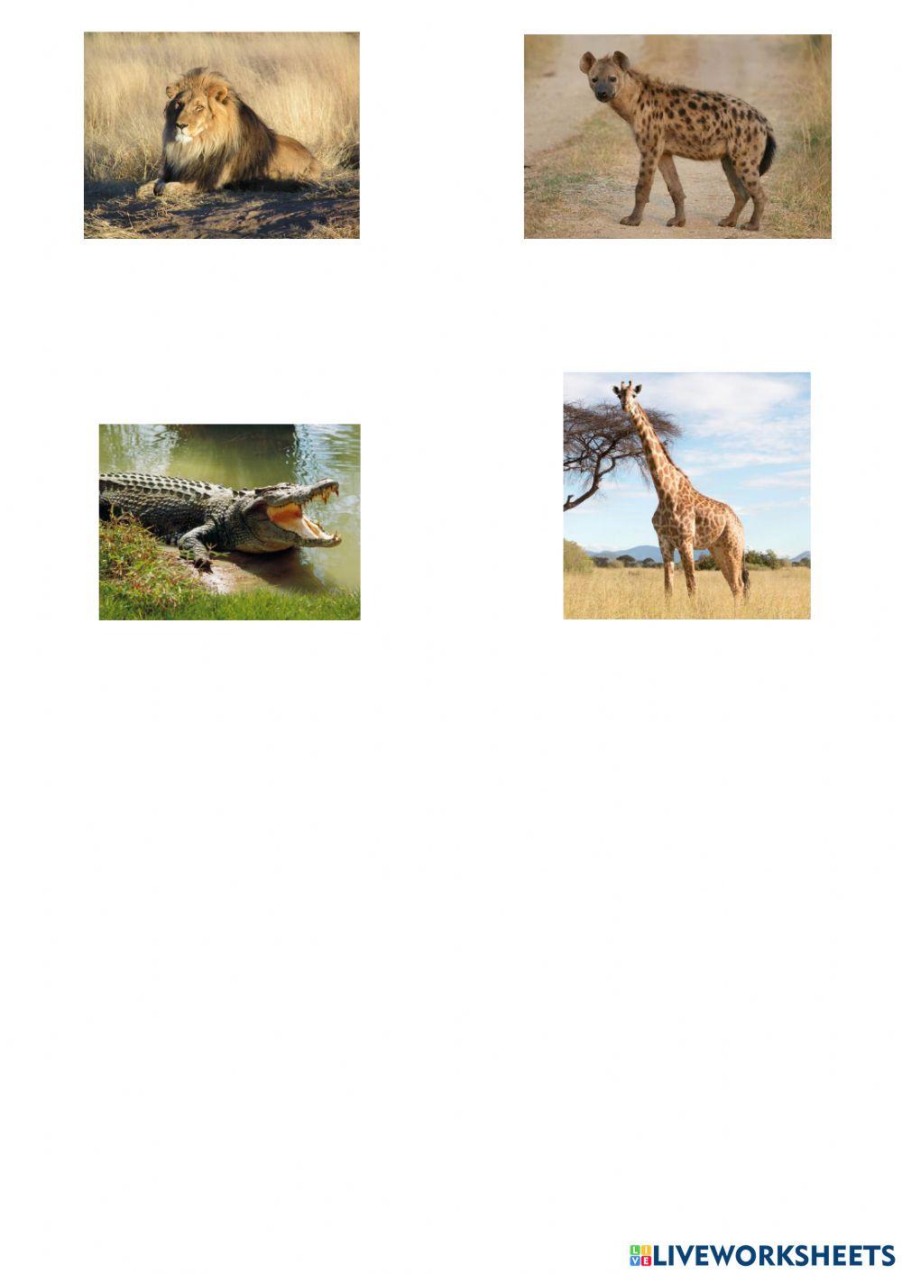 Animal habitats Animal habitats