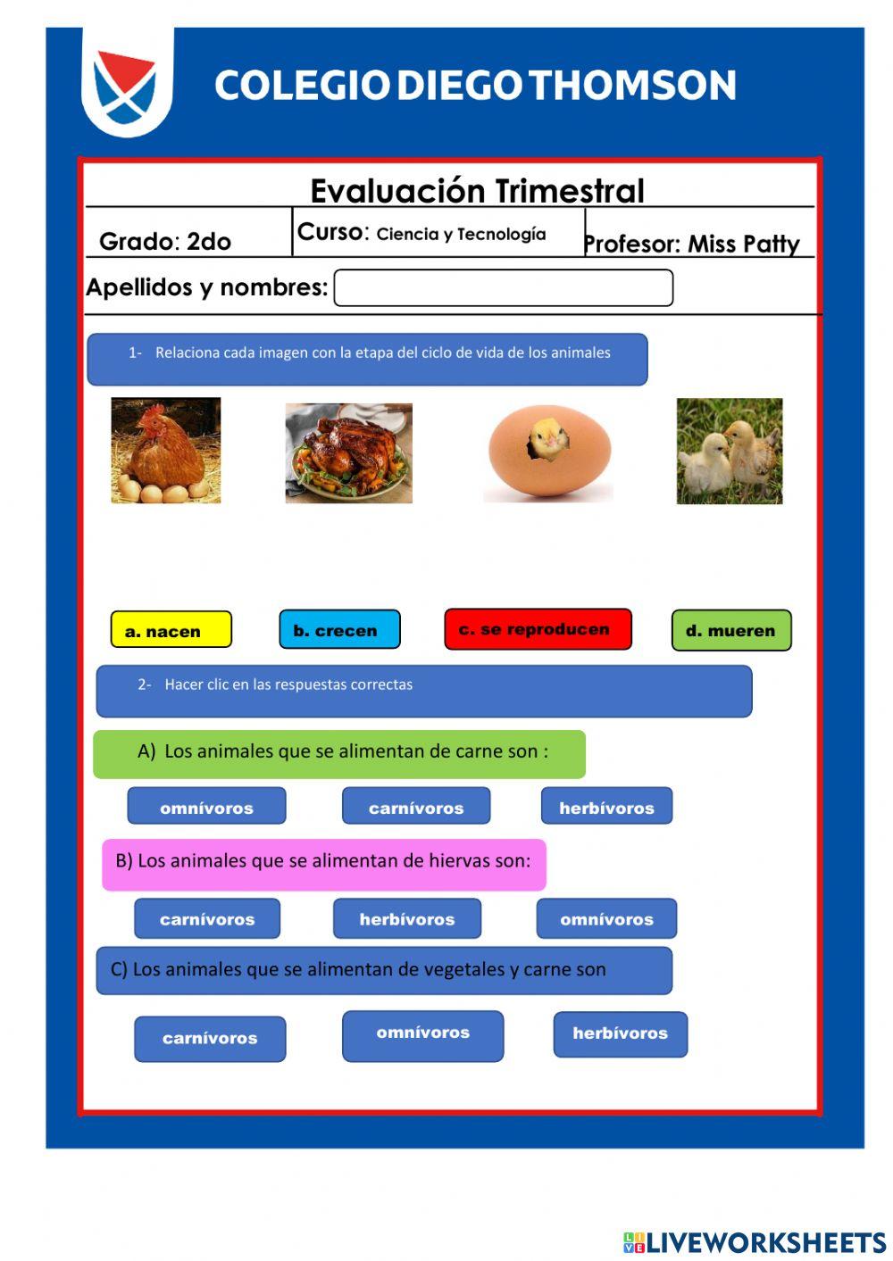 Evaluación trimestral