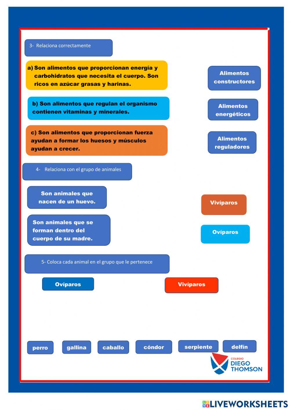 Evaluación trimestral