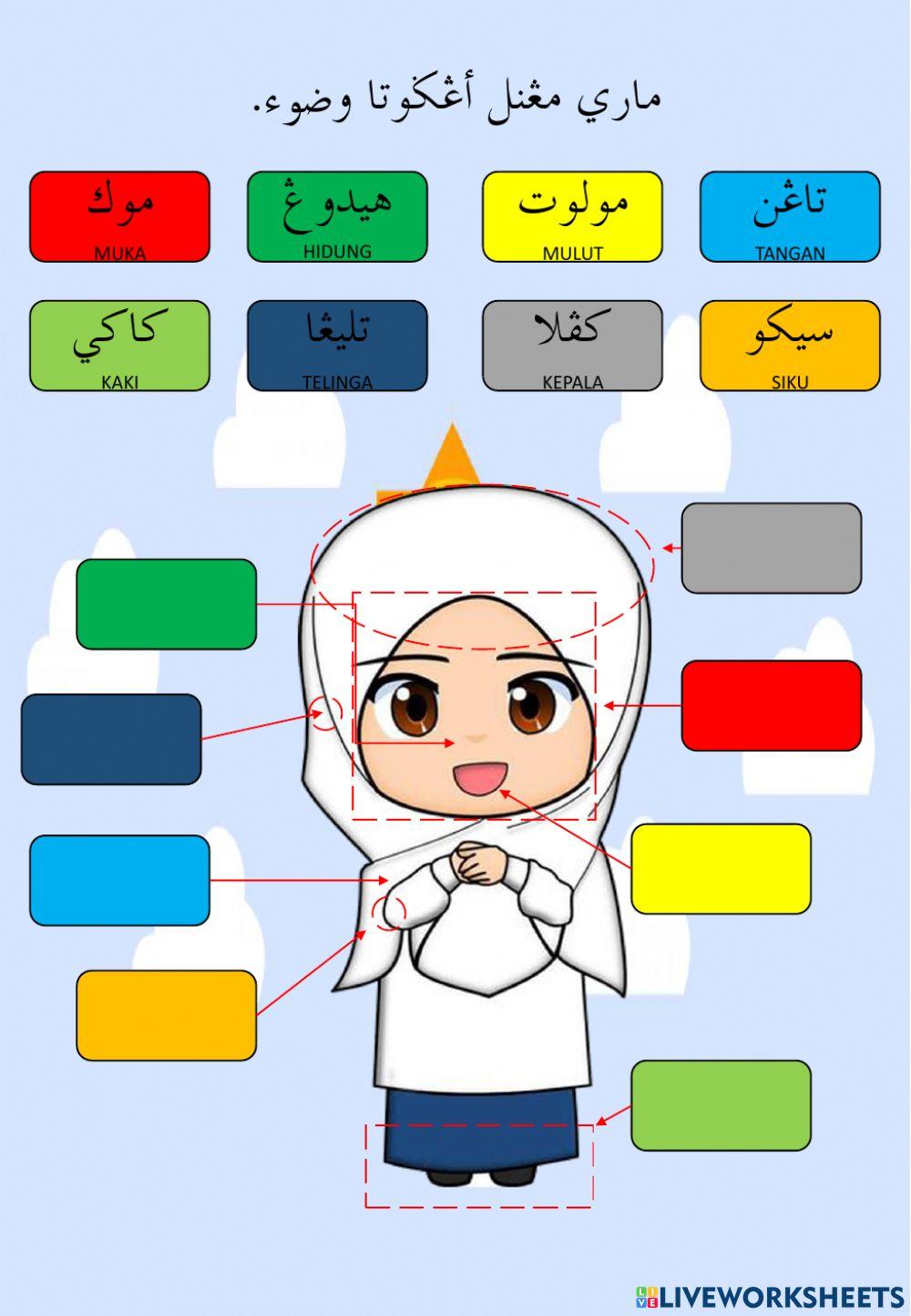 Latihan Mengenal Anggota Wudhu - Perempuan