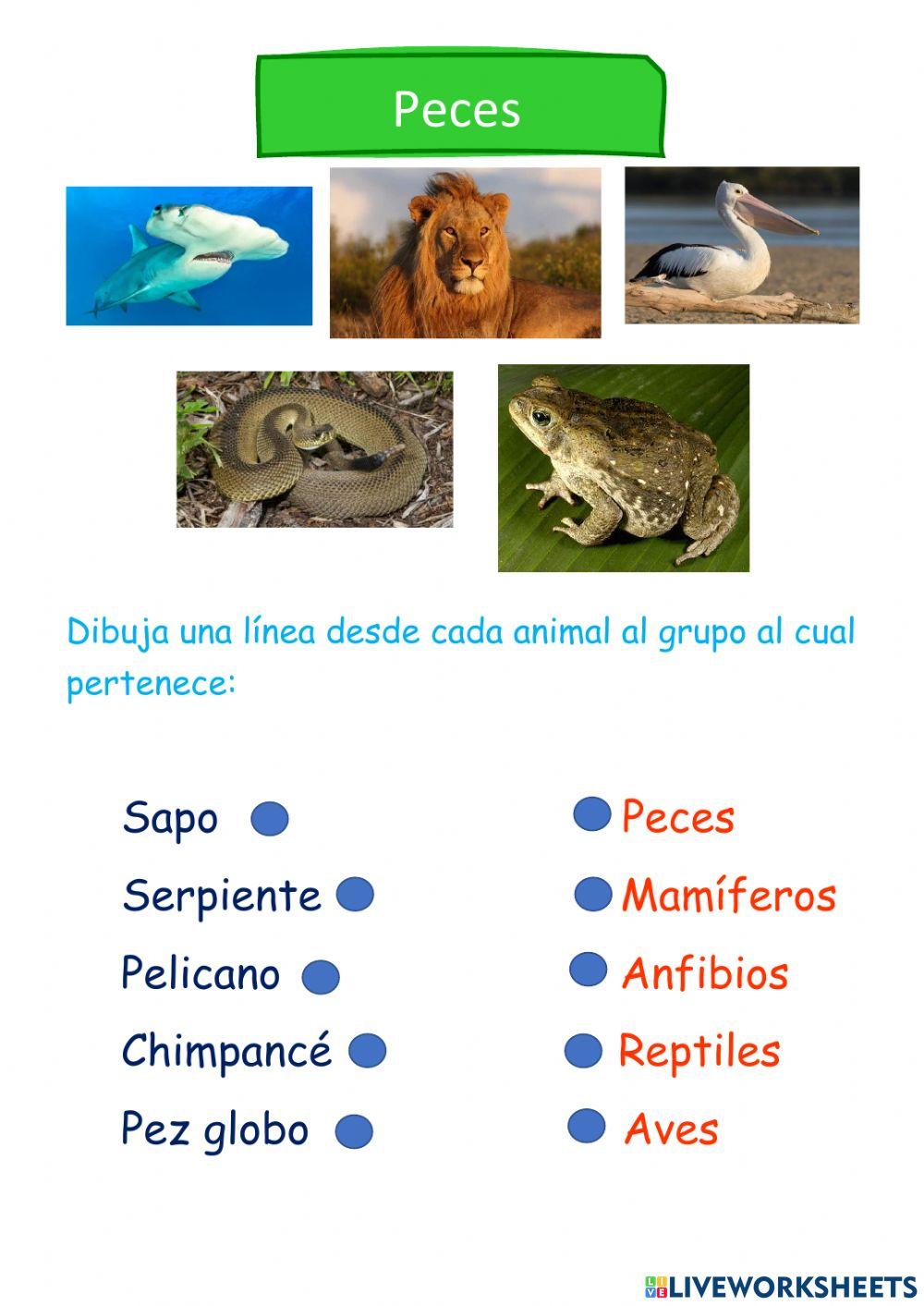 Animales vertebrados
