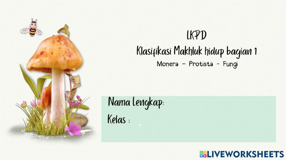 Monera protista fungi