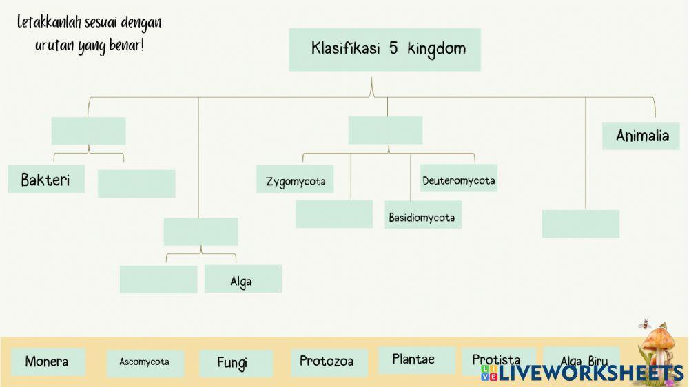 Monera protista fungi