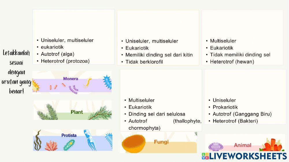 Monera protista fungi