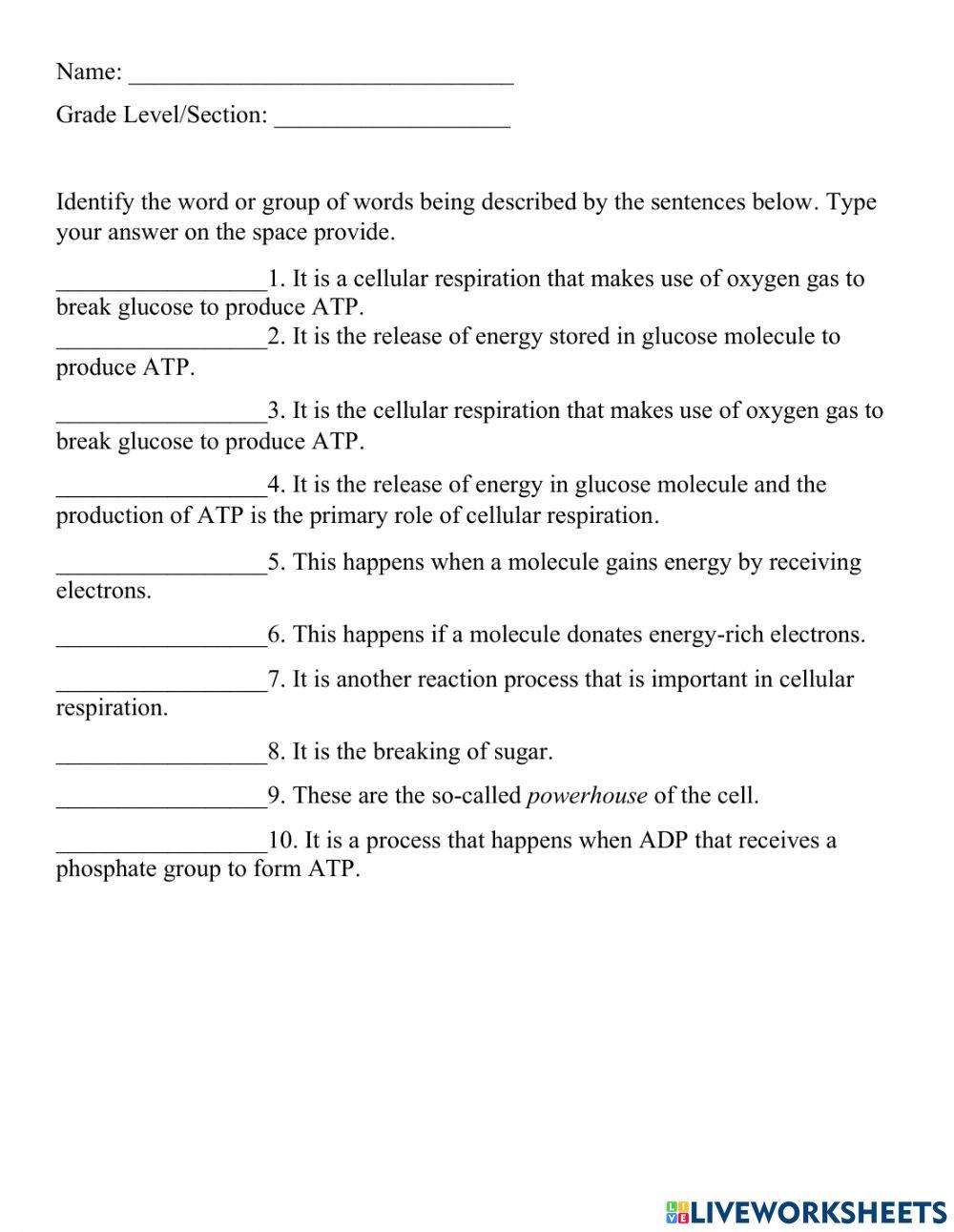 Cellular Respiration 1300820 Cgjacla LiveWorksheets cellular-respiration-1300820-cgjacla-liveworksheets