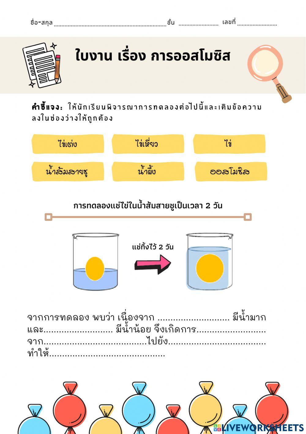 ใบงานออสโมซิส