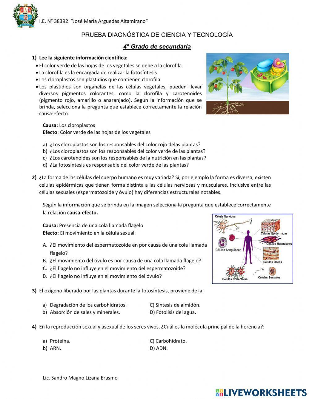 Evaluación diagnóstica 4to de de secundaria