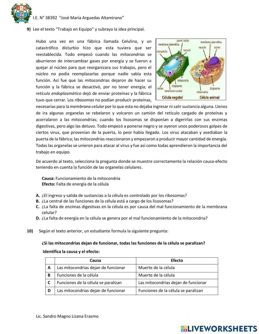 Evaluación diagnóstica 4to de de secundaria