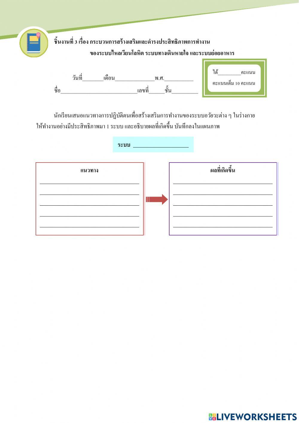 ใบงานที่ 3 วิชาสุขศึกษา ม.4