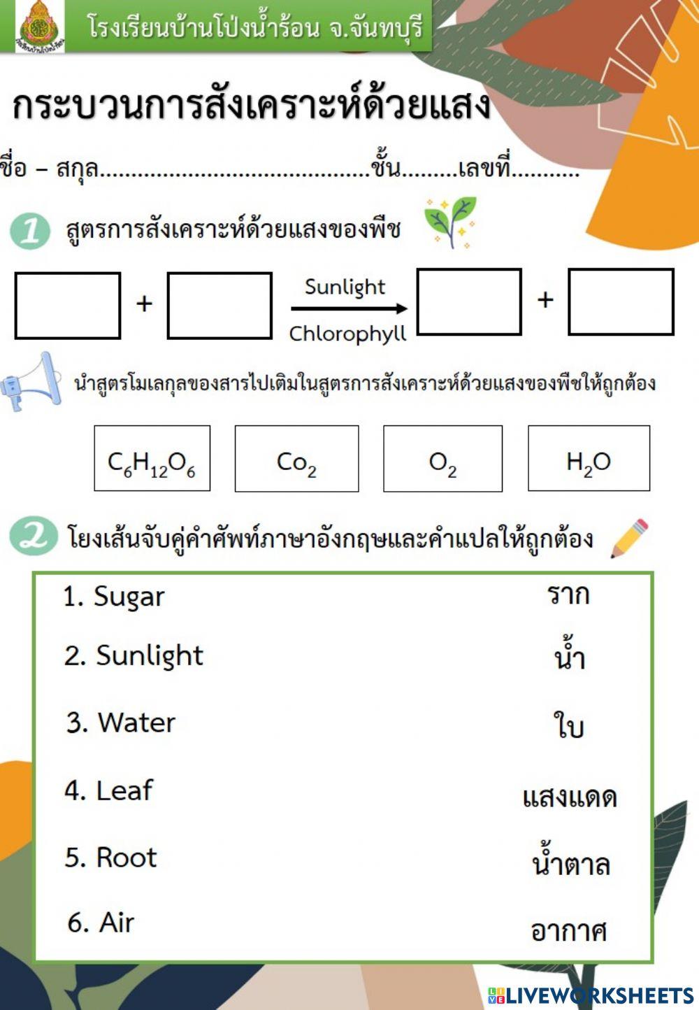 กระบวนการสังเคราะห์ด้วยแสงของพืช