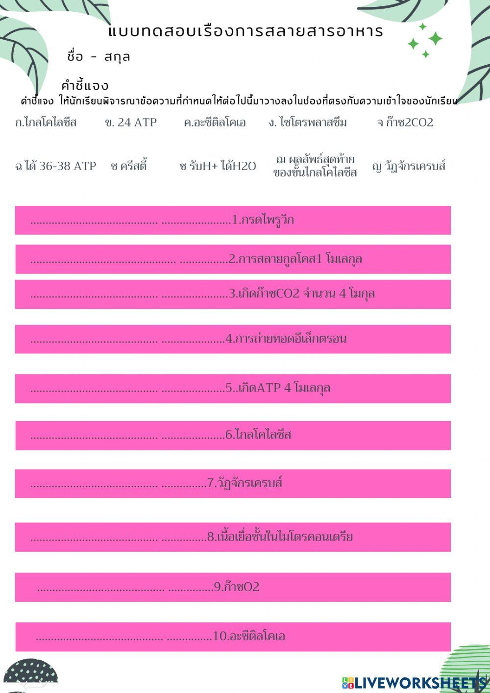 แบบฝึกิจกรรมเรื่องการสลายอาหารชุด2