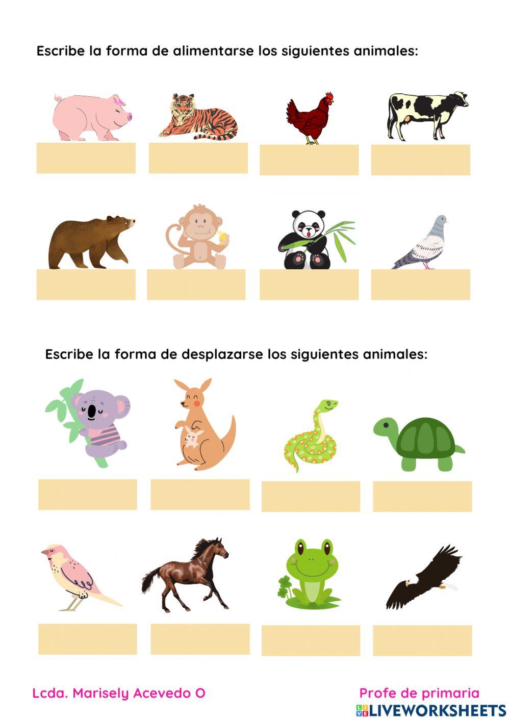 Los animales y sus funciones