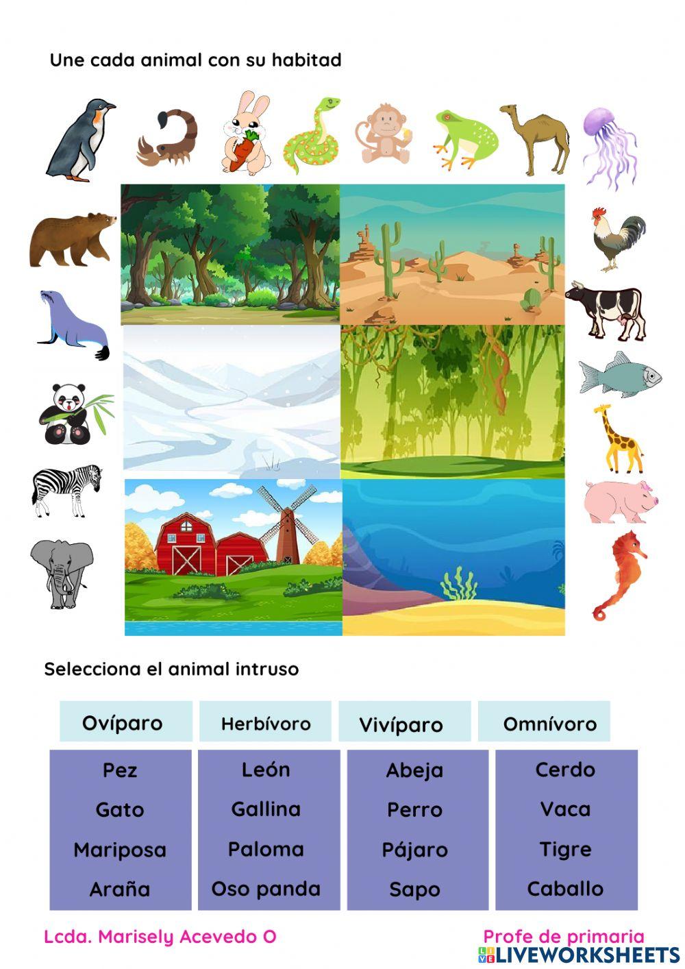 Los animales y sus funciones