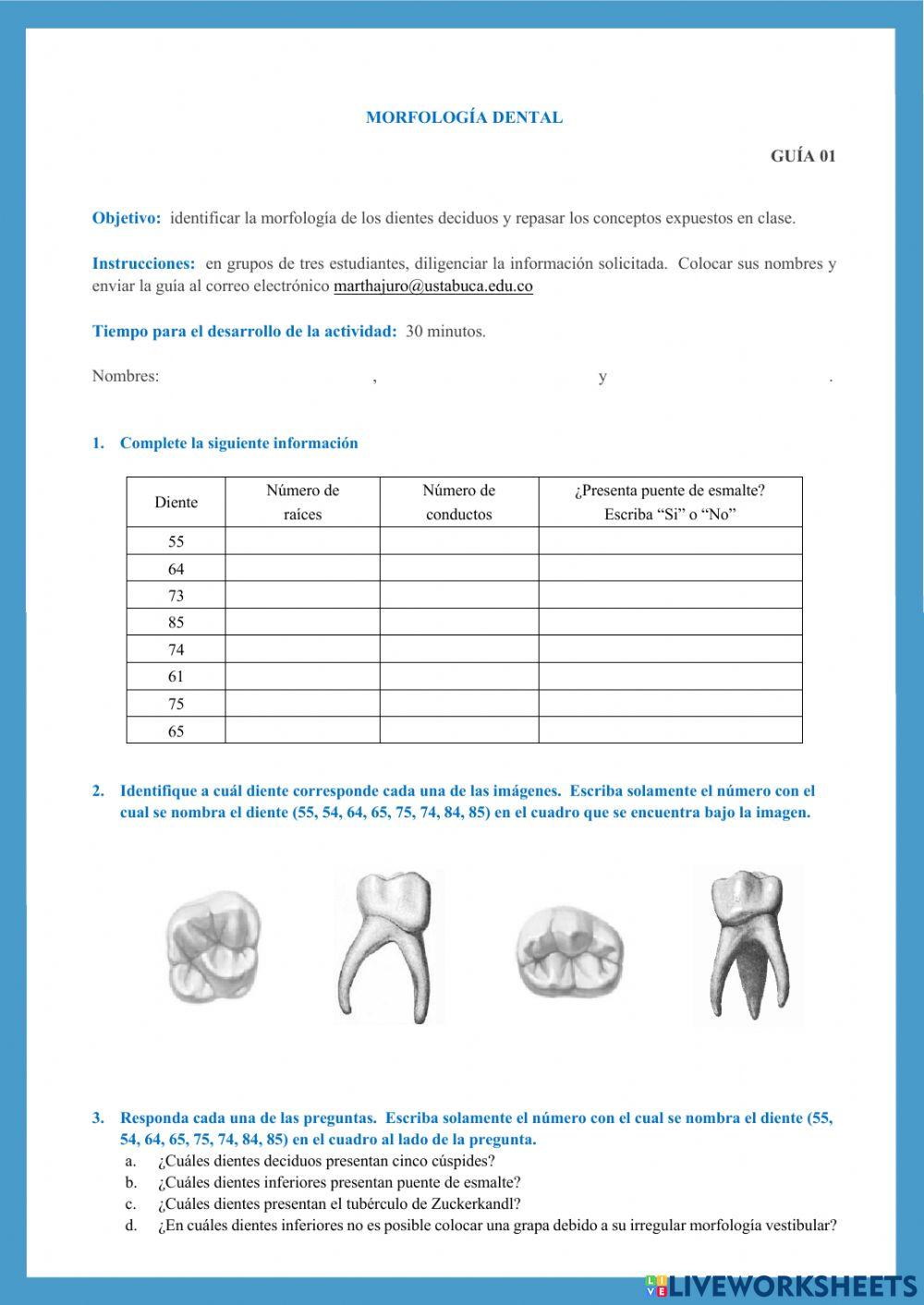 Guía 01. OP-Morfología