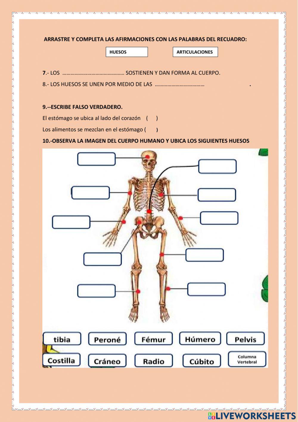 Leccion de ciencias naturales 2p1q