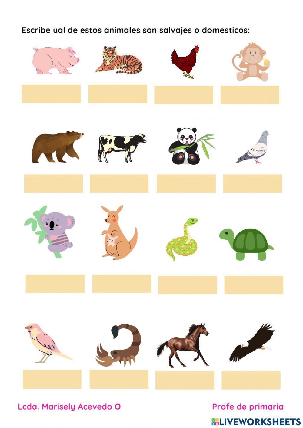 Animales domésticos y salvajes