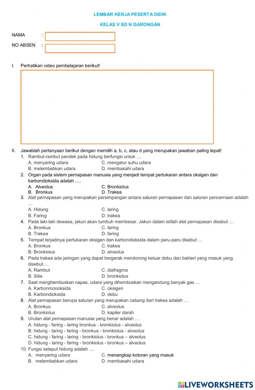 Sistem pernafasan manusia
