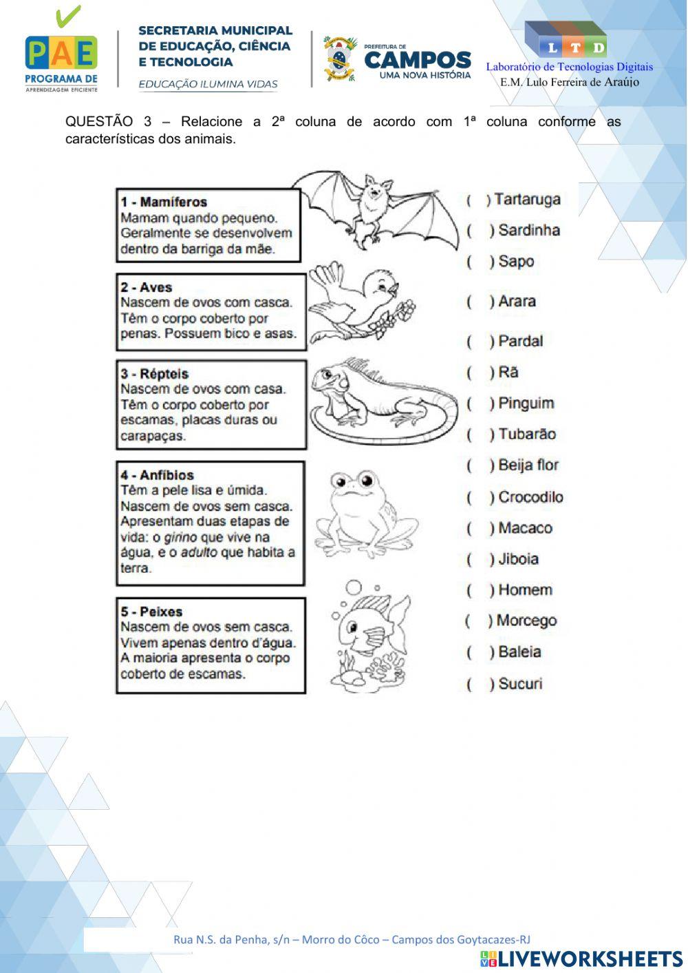 Características dos Animais ll - Reforço.