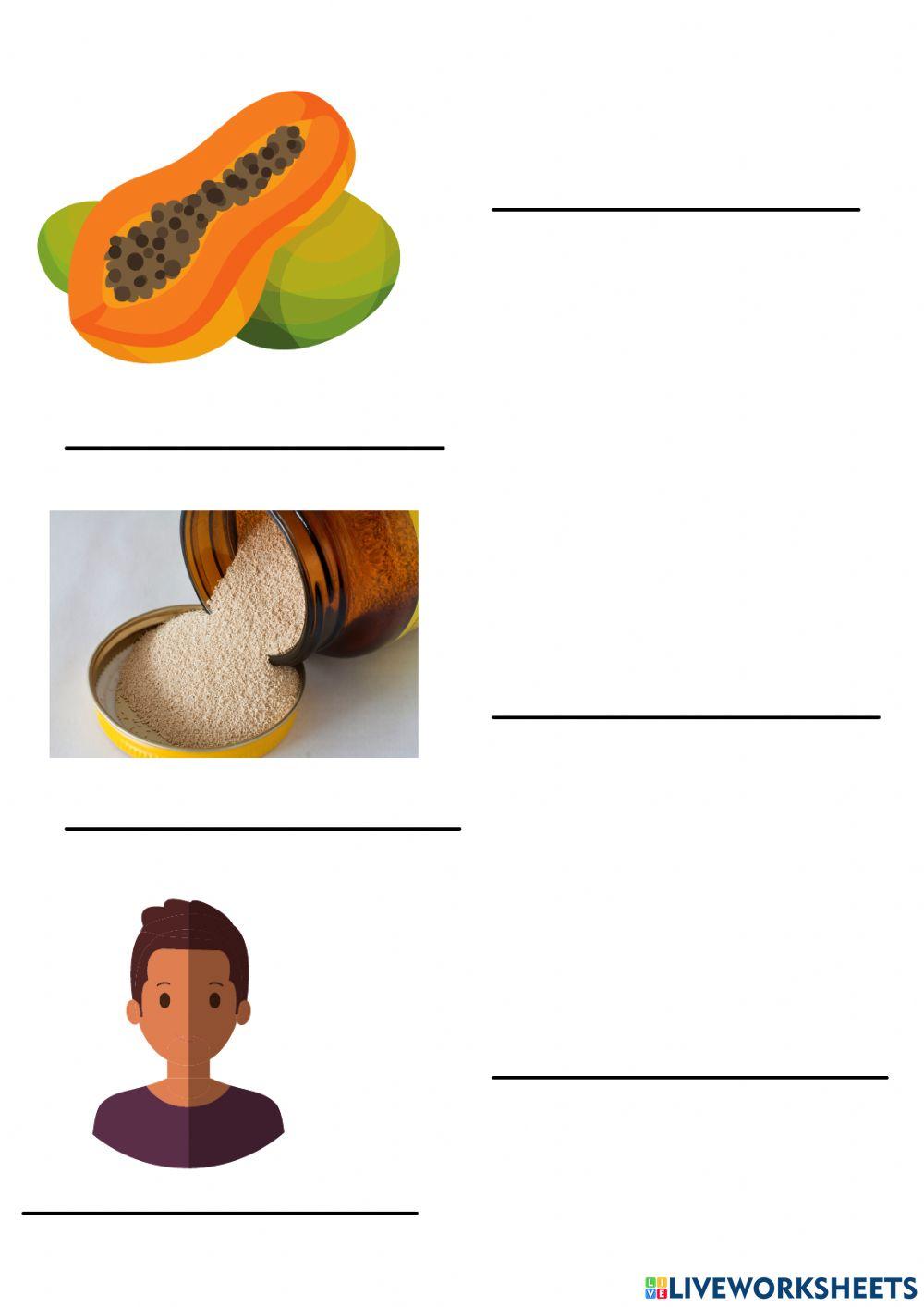 Reino dos seres vivos