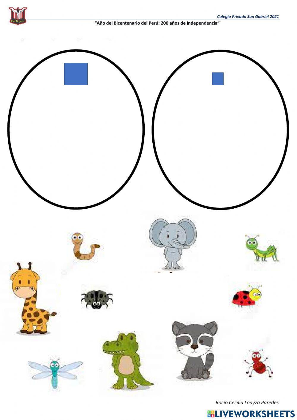 Agrupación por tamaño