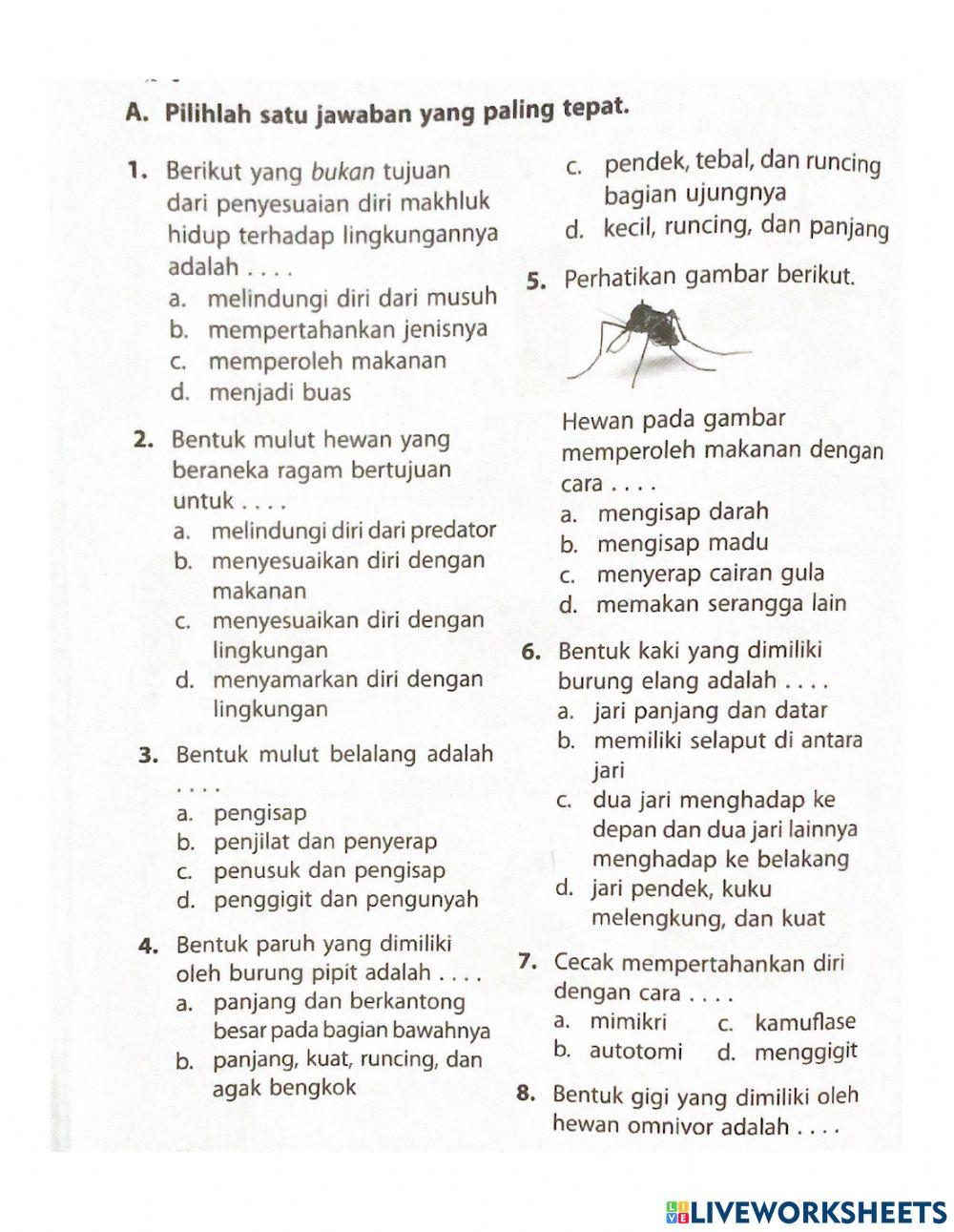 Latihan soal ipa