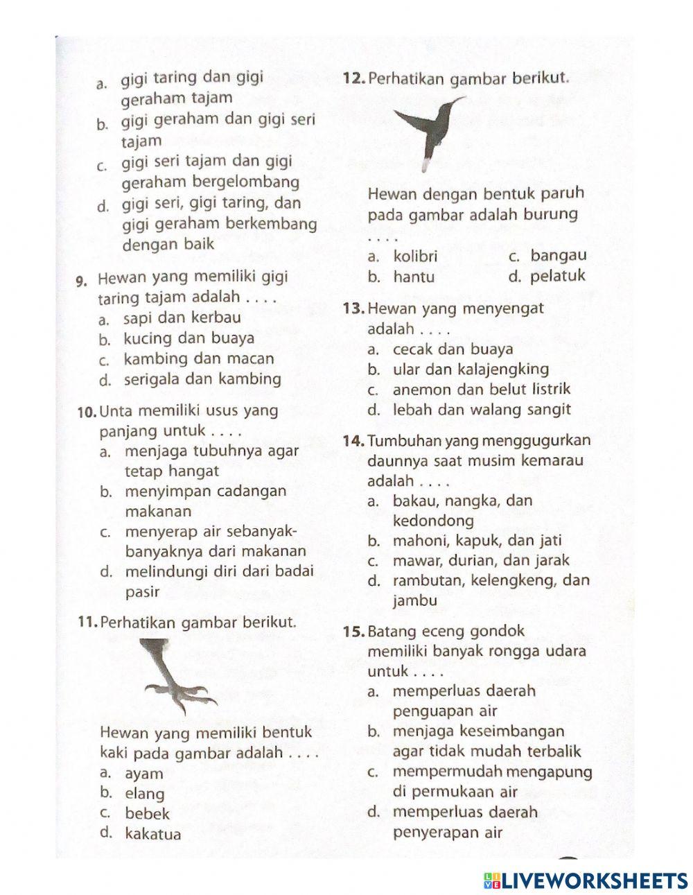 Latihan soal ipa