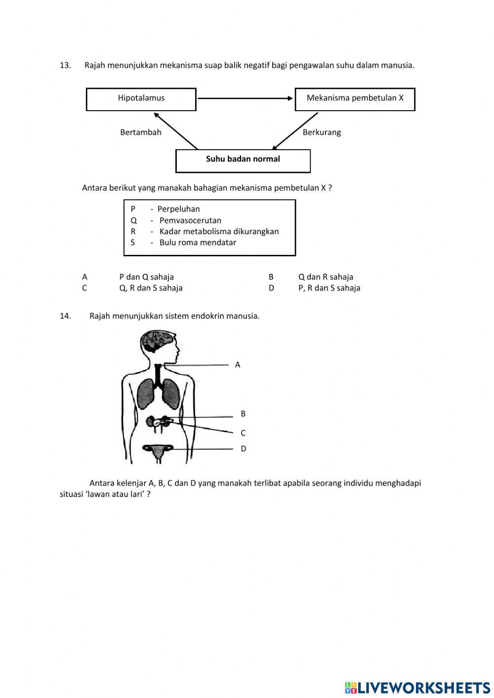 Koordinasi dan gerak balas dalam manusia