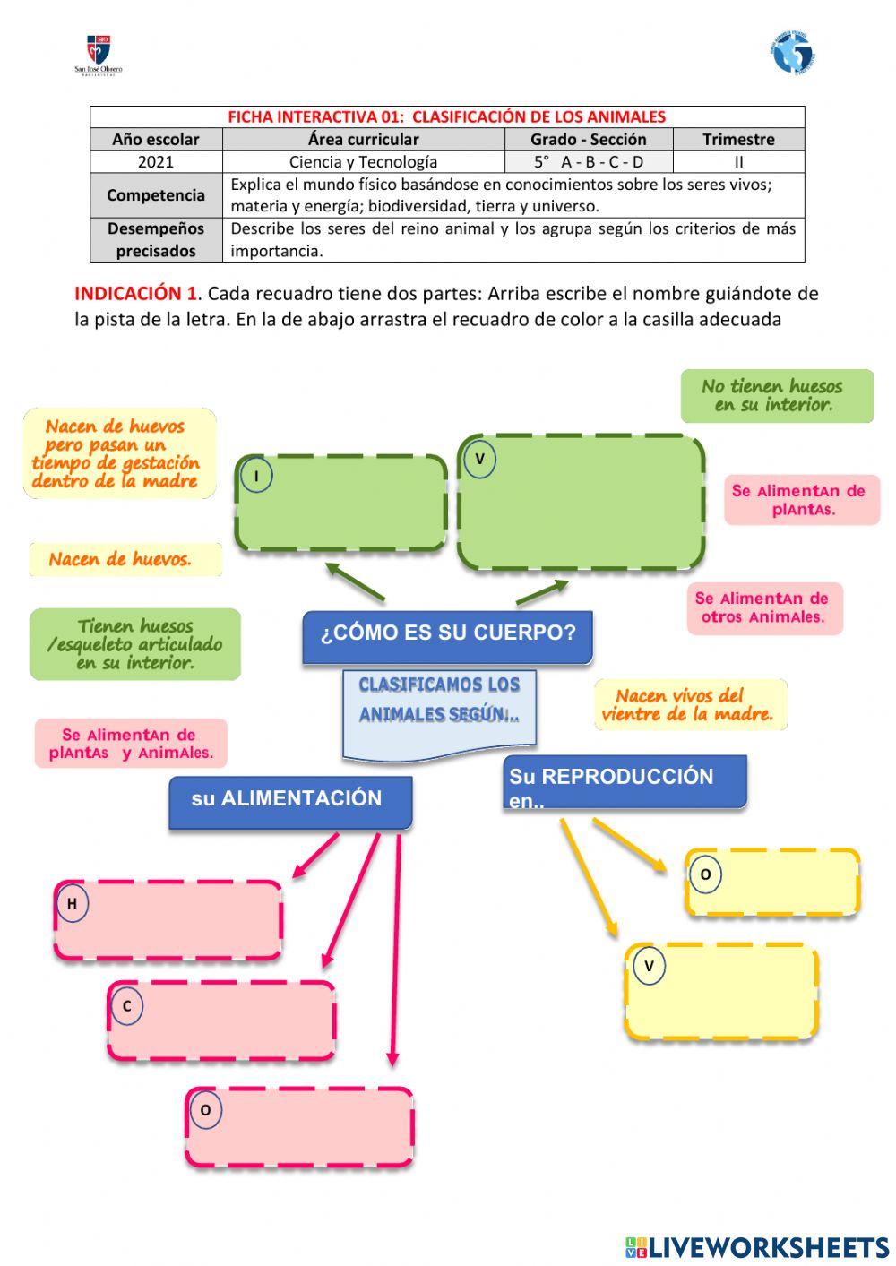 Clasificación de los animlaes