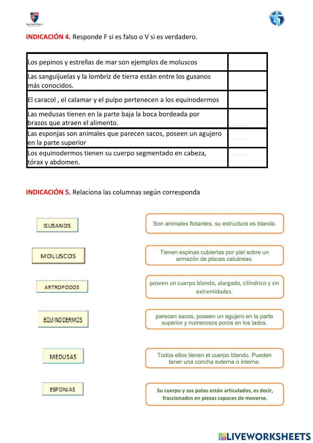 Clasificación de los animlaes