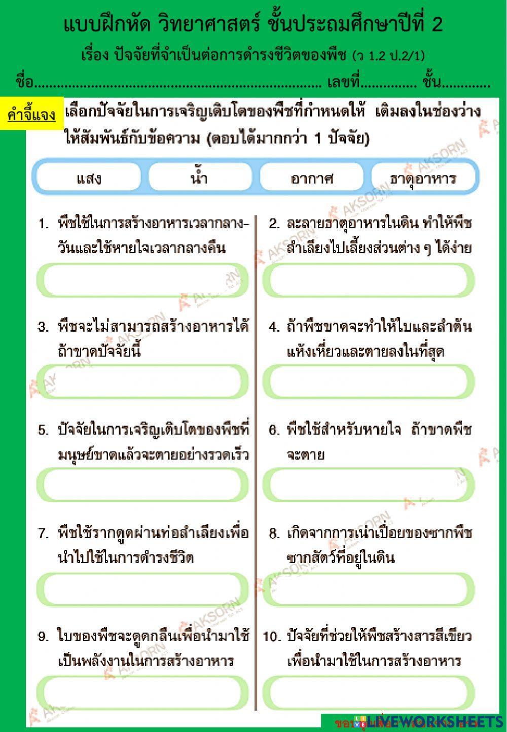 แบบฝึกหัด ปัจจัยที่สำคัญต่อการดำรงชีวิตของพืช