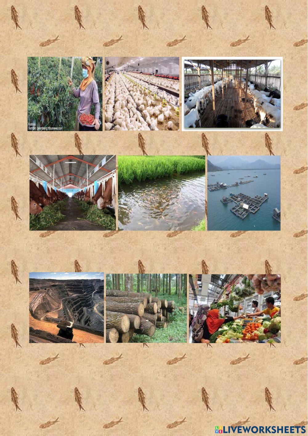 Keberagaman Kegiatan Ekonomi dan Tanggung Jawab