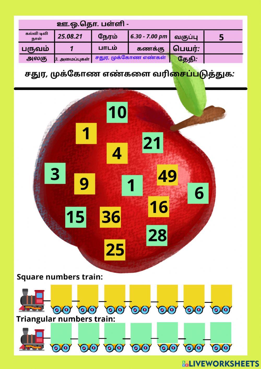கணக்கு  - அமைப்புகள் - சதுர முக்கோண எண்கள்