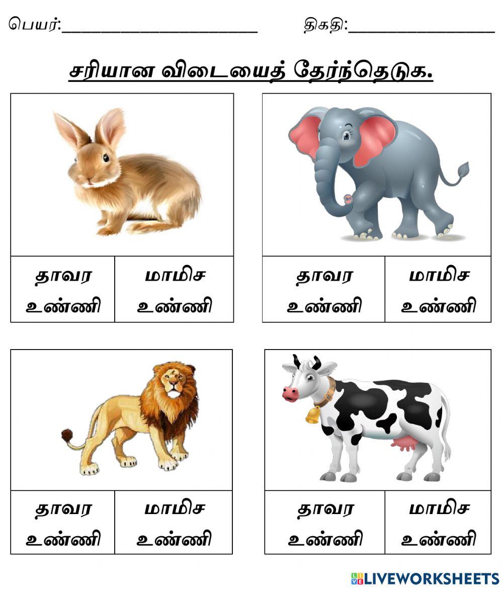 (விலங்குகளின் உணவு முறை) சரியான விடையைத் தேர்வு செய்க