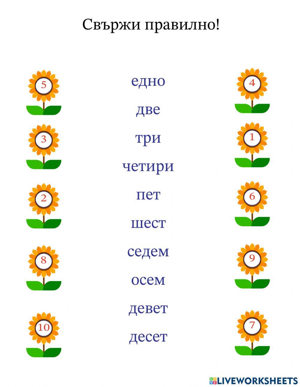 Работен лист | Stefi | Live Worksheets