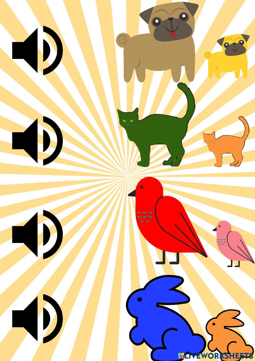 Animals- Mummy and Baby