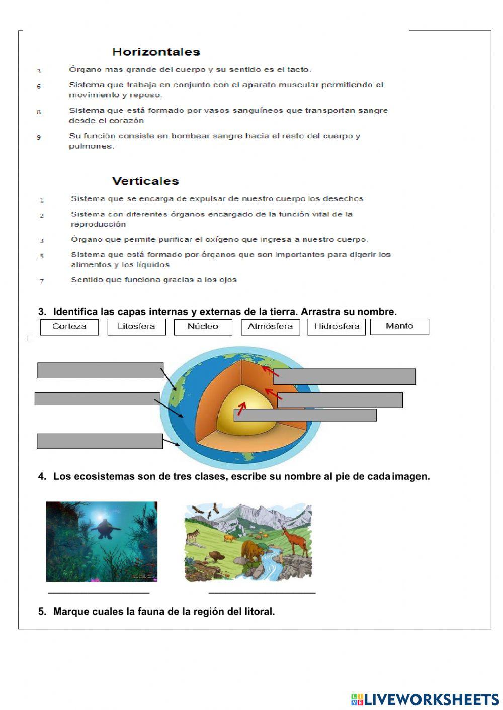 Evaluación Diagnostica