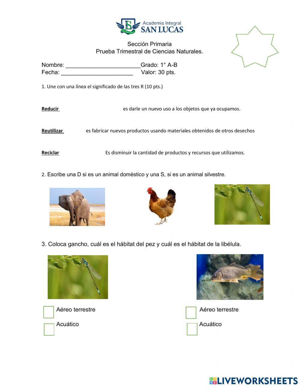 El ser humano y el ambiente