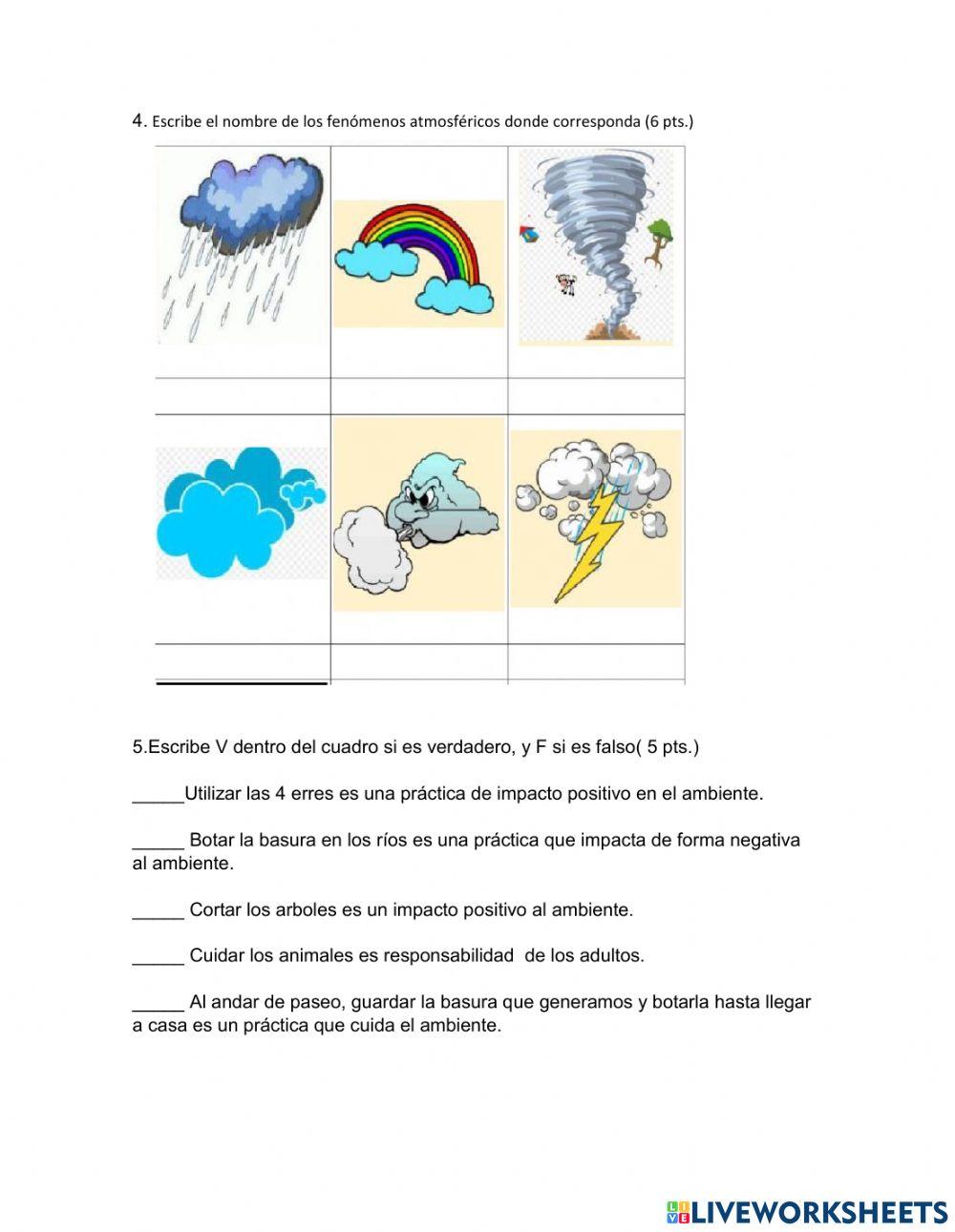 El ser humano y el ambiente
