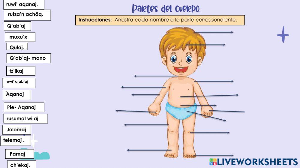 Partes del Cuerpo en Kaqchikel